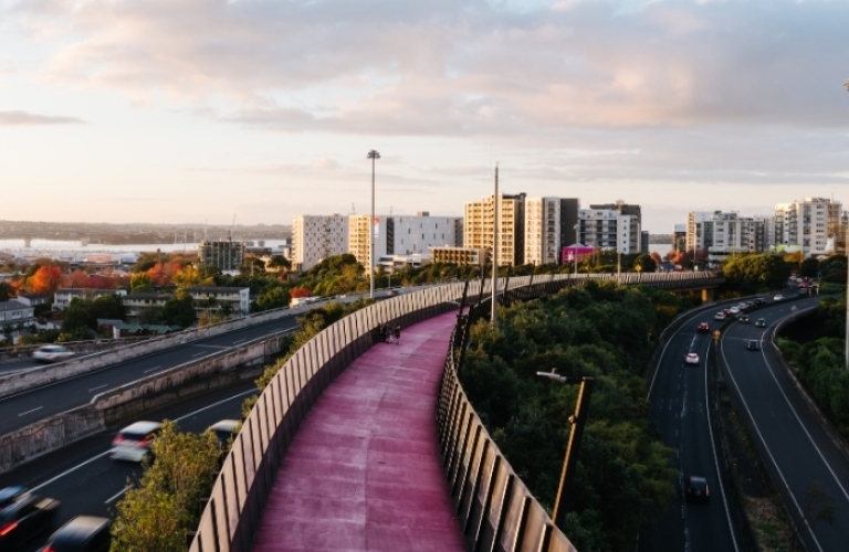 Auckland motorway and Pink Path