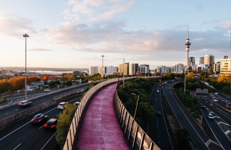 Auckland motorway and Pink Path