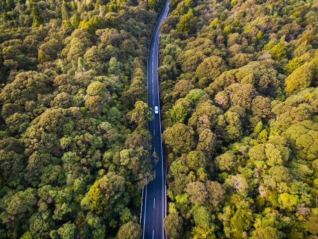 Aerial shot of car driving through bush roads, Auckland 